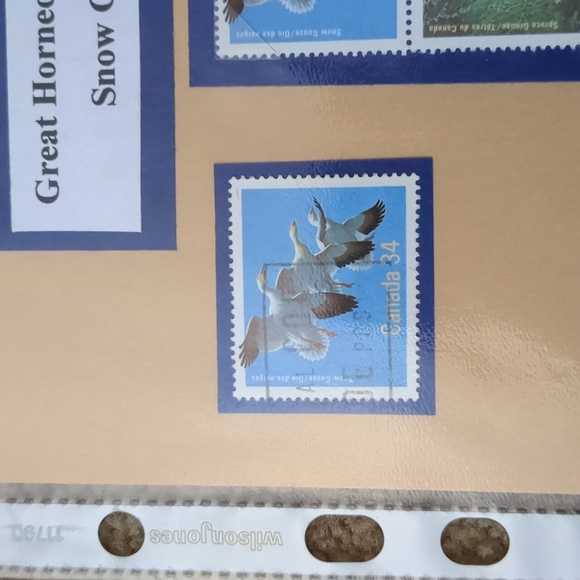 Canada's Most Beautiful Bird Stamps Collection - Picture 7 of 7